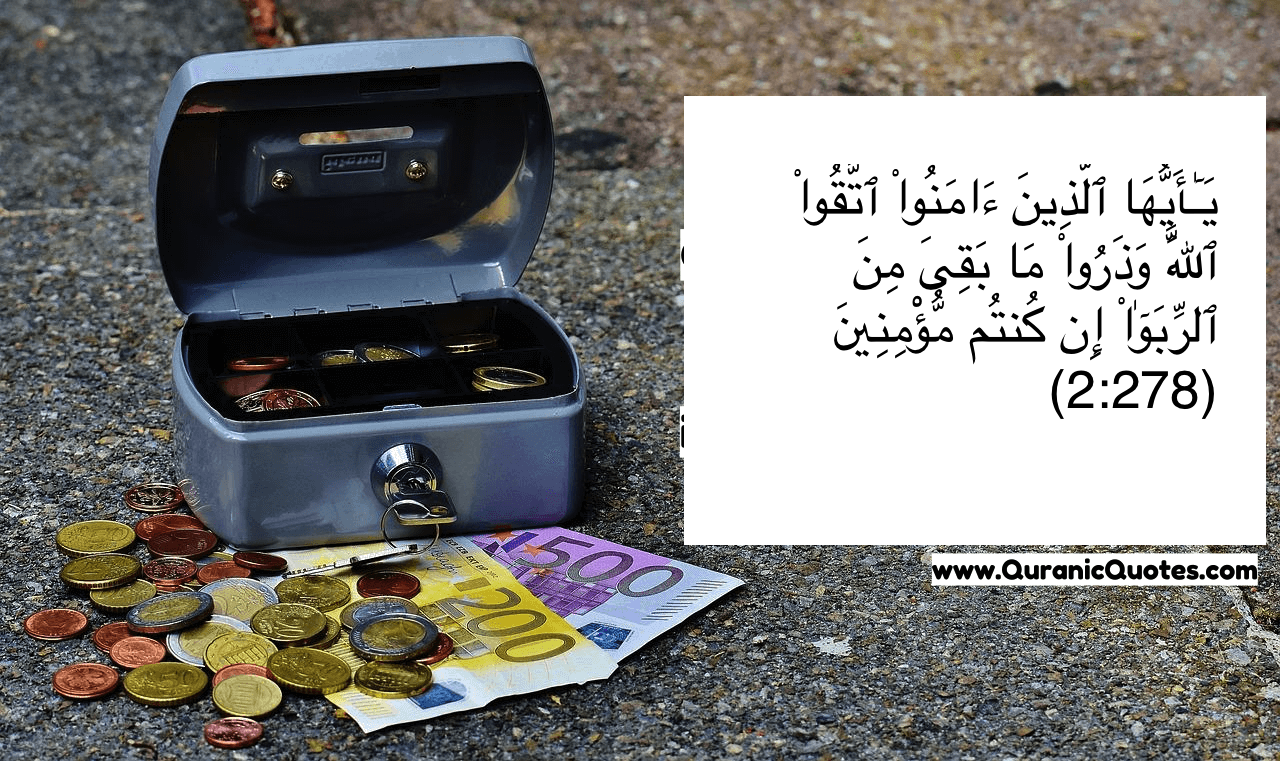 الربة والتمويل والمصارف: المنظور الإسلامي