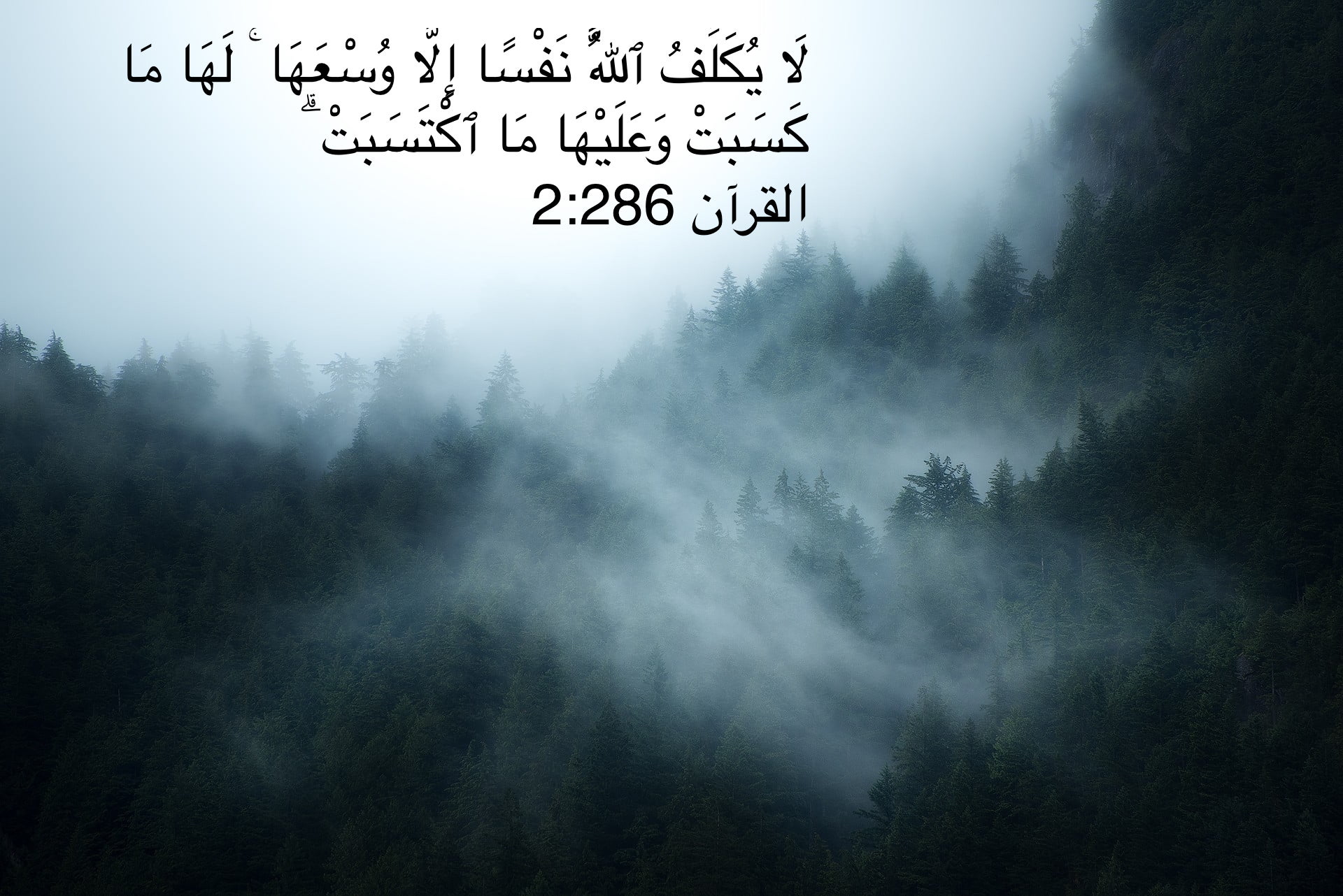 الله يريد منا أن نبذل قصارى جهدنا