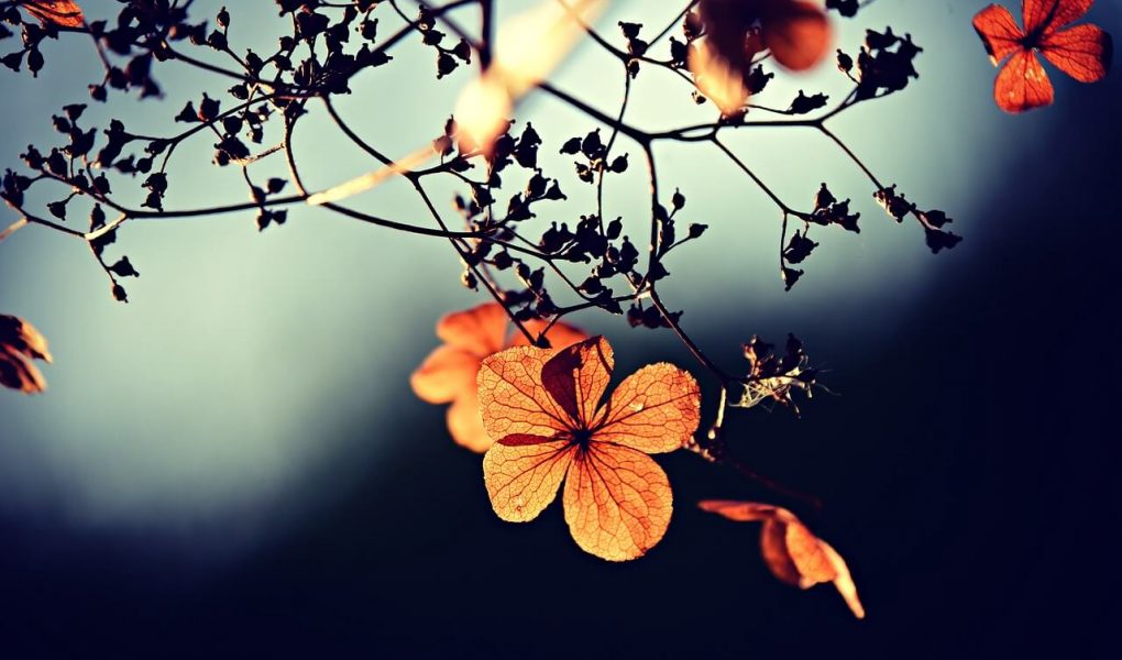 10-tareeke-jinme-allah-hmesha-apni-rachnao-kae-lie-hai