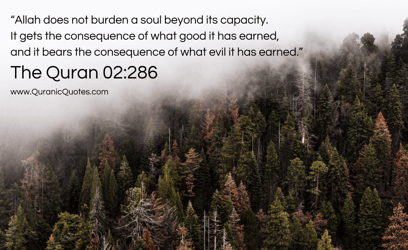 Индия движется от демократическому к полицейскому государству?