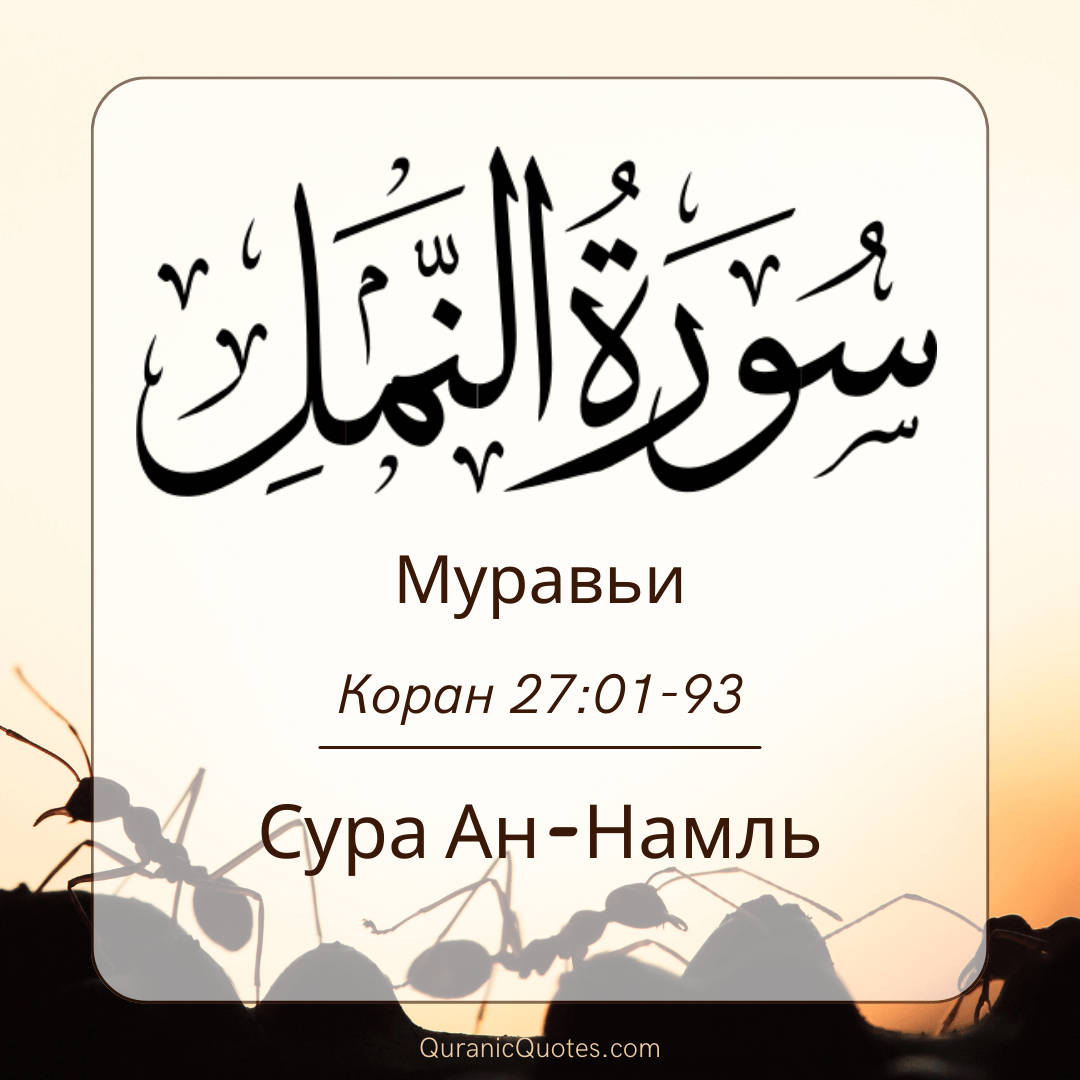 Сура Ан-Намль