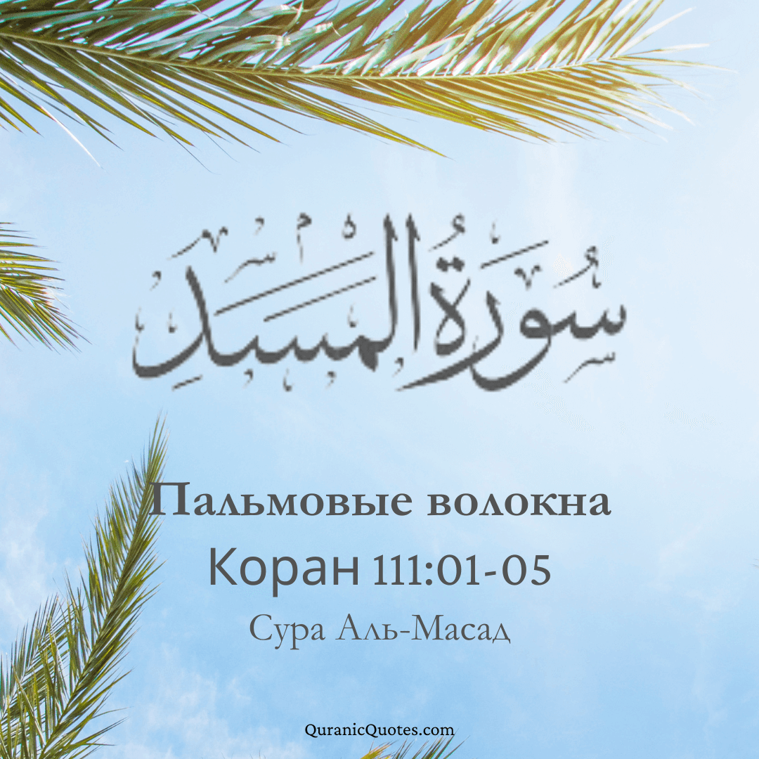 Сура Аль-Масад
