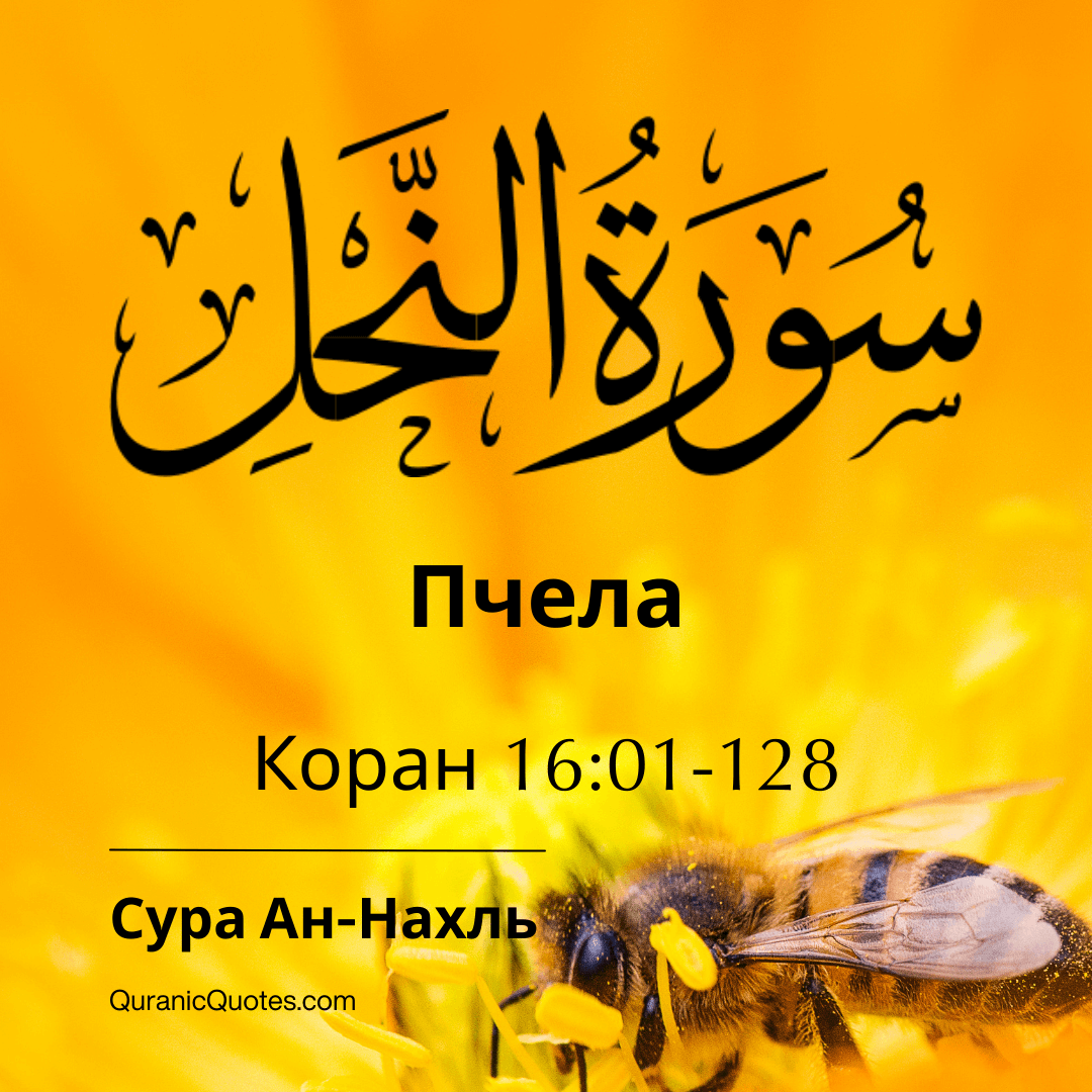 Сура Ан-Нахль