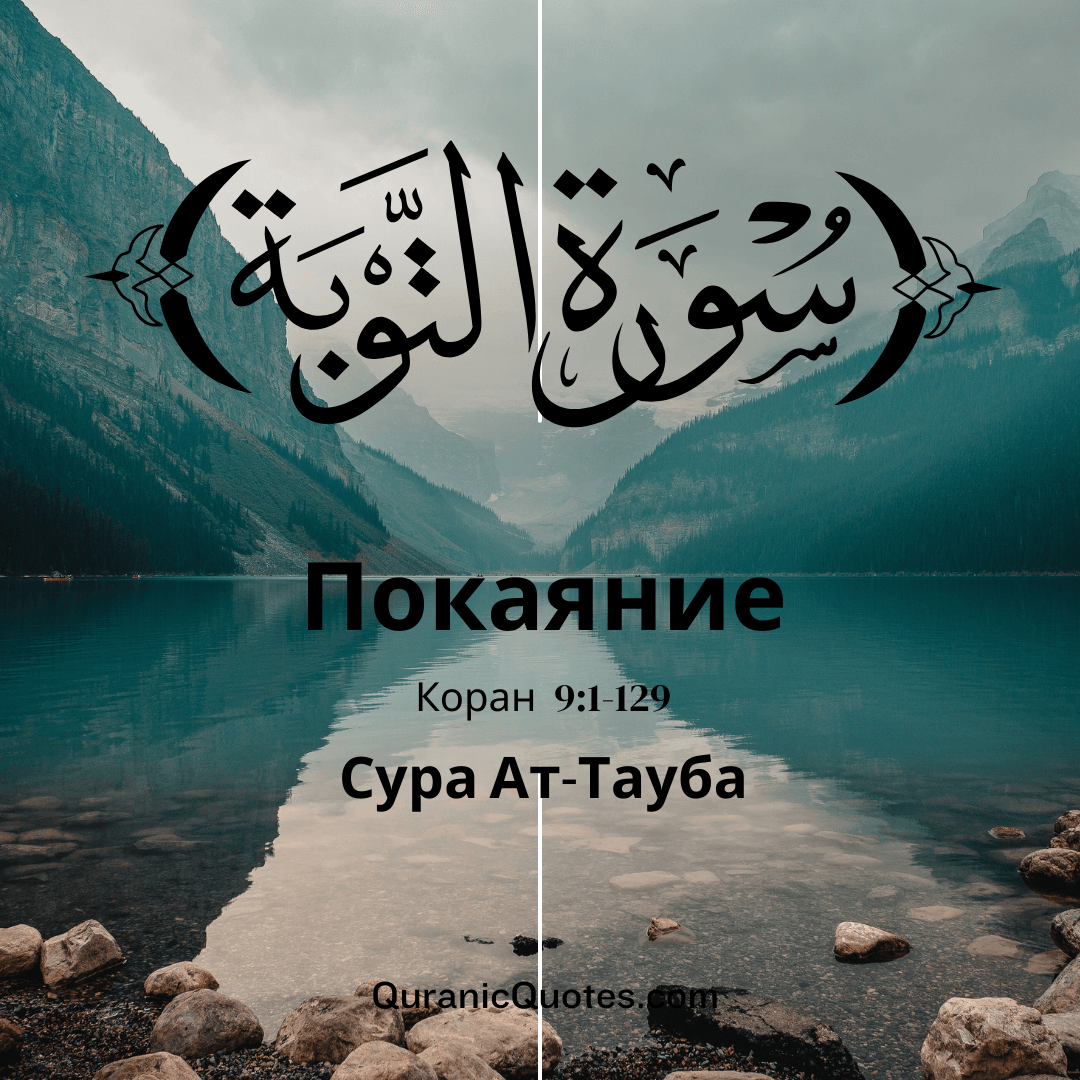 Сура Ат-Тауба