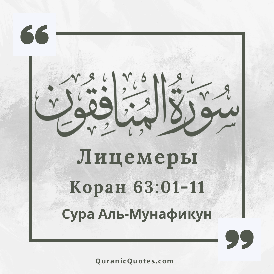 Сура Аль-Мунафикун