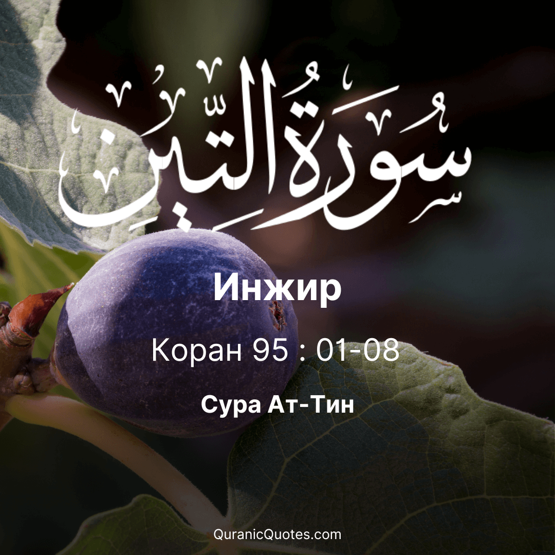 Сура Ат-тин