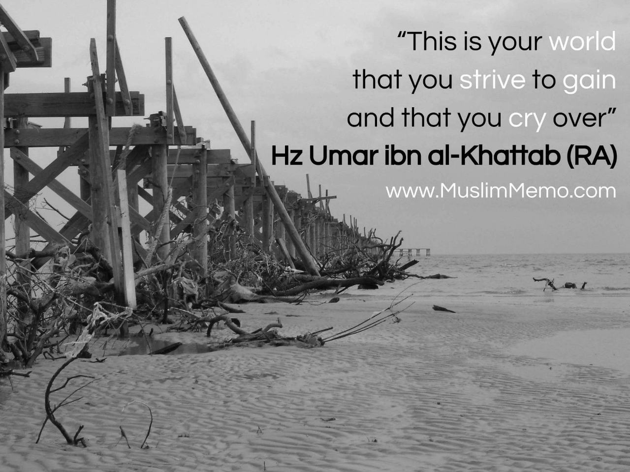 Hz Umar | Inspirational Islamic Quotes